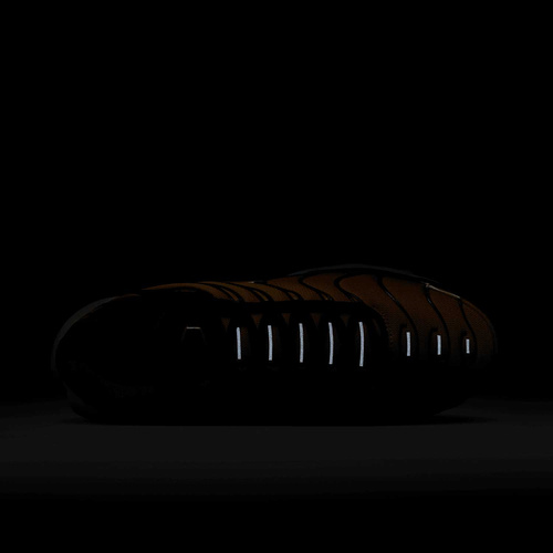 Buty męskie Nike Air Max Plus HF0552-001