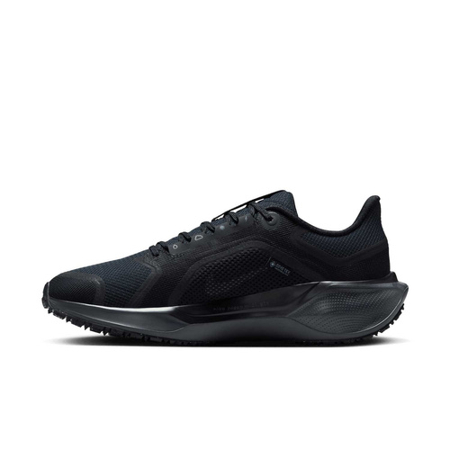 Buty damskie Nike Pegasus 41 GORE-TEX FQ1357-001