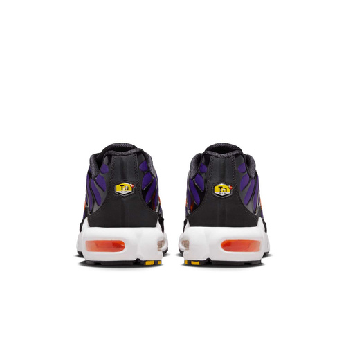 Buty męskie Nike Air Max Plus OG DX0755-500