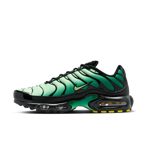 Buty męskie Nike Air Max Plus DM0032-301