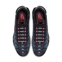 Buty męskie Nike Air Max Plus CI2299-001