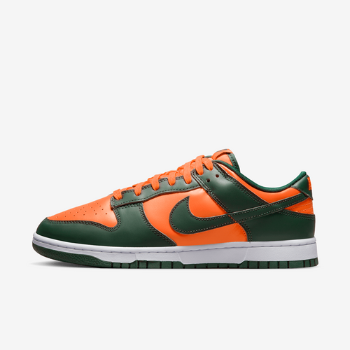 Buty męskie Nike Dunk Low Retro DD1391-300