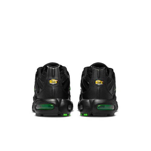 Buty męskie Nike Air Max Plus DM0032-024