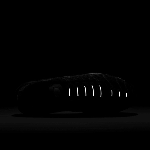 Buty męskie Nike Air Max Plus HF4293-001