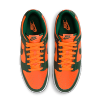 Buty męskie Nike Dunk Low Retro DD1391-300