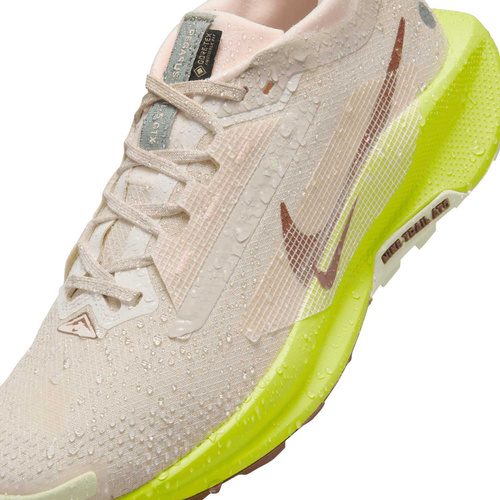 Buty damskie Nike Pegasus Trail 5 GORE-TEX FQ0912-101