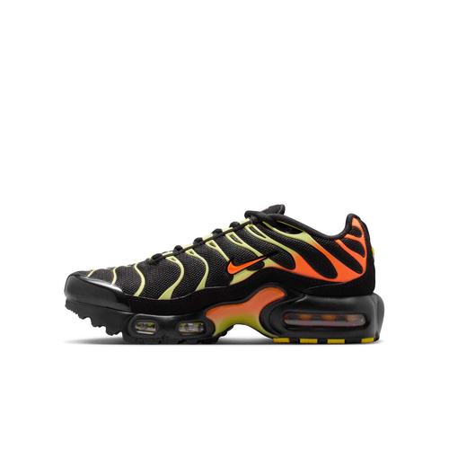Buty Junior Nike Air Max Plus CD0609-040