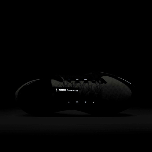 Buty męskie Nike Pegasus 41 GORE-TEX FQ1356-002