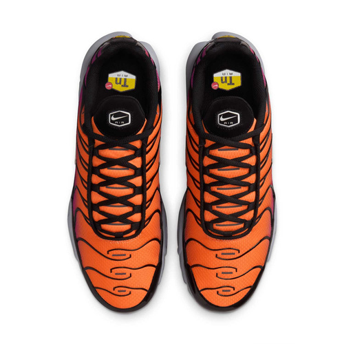 Buty męskie Nike Air Max Plus DM0032-014