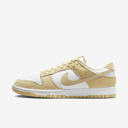 Buty męskie Nike Dunk Low Retro FQ8249-102