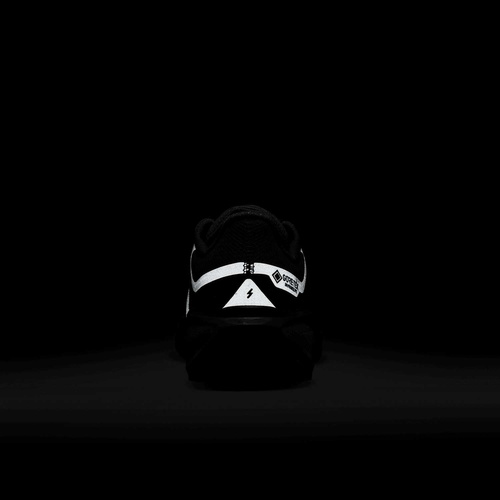 Buty damskie Nike Pegasus 41 GORE-TEX FQ1357-001