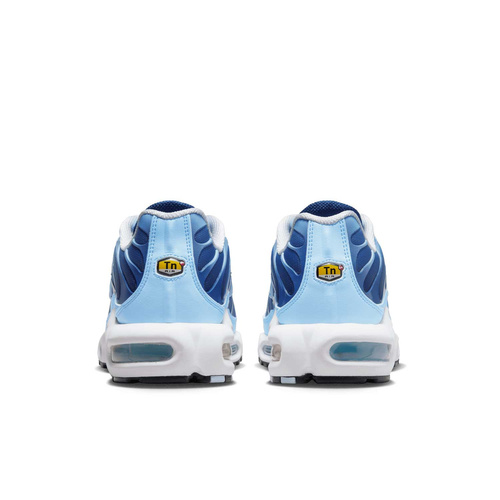 Buty damskie Nike Air Max Plus FJ4736-400