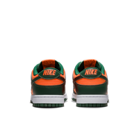 Buty męskie Nike Dunk Low Retro DD1391-300