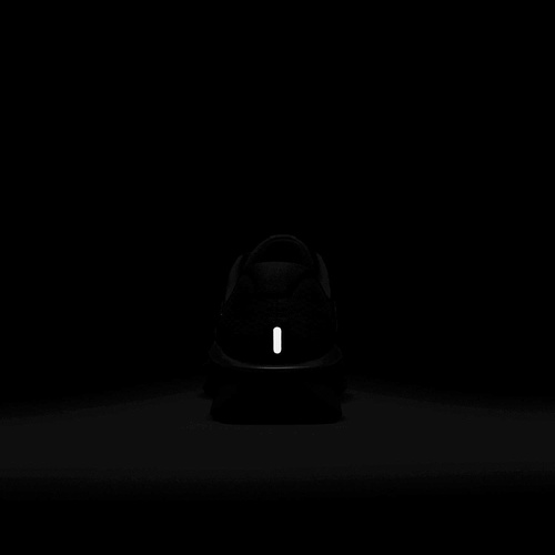 Buty męskie Nike Downshifter 13 FD6454-003