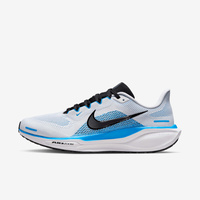 Buty męskie Nike Pegasus 41 FD2722-119