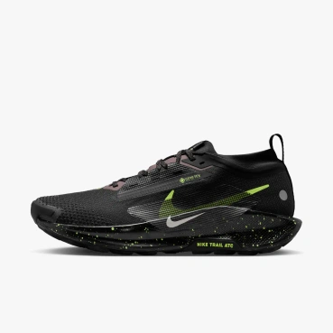 Buty męskie Nike Pegasus Trail 5 GORE-TEX FQ0908-014