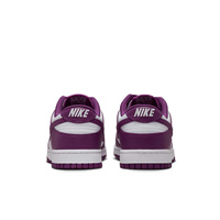 Buty męskie Nike Dunk Low Retro DV0833-107