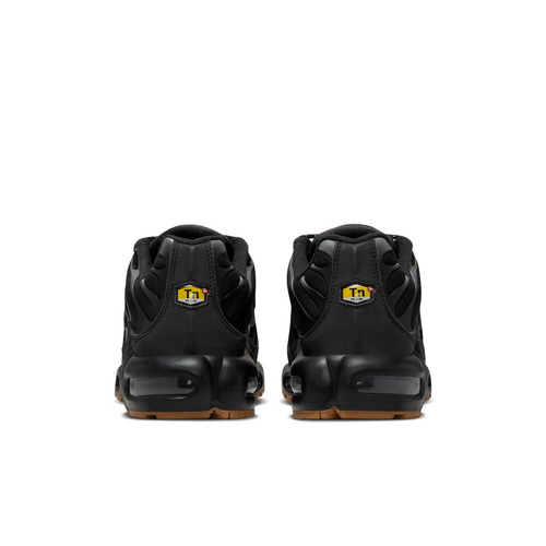 Buty męskie Nike Air Max Plus FV0385-001