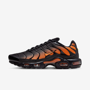 Buty męskie Nike Air Max Plus DM0032-025