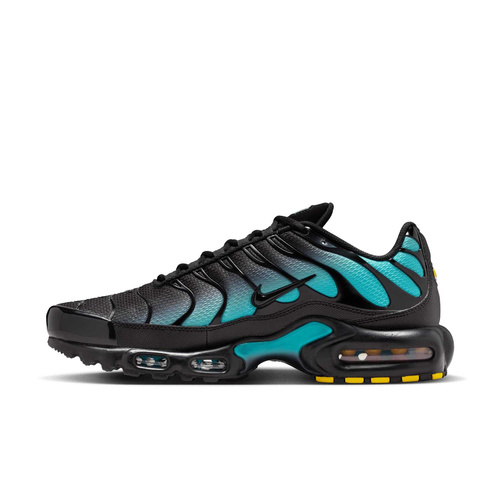 Buty męskie Nike Air Max Plus DM0032-016