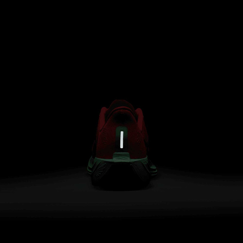 Buty męskie Nike Pegasus Plus FQ7262-600