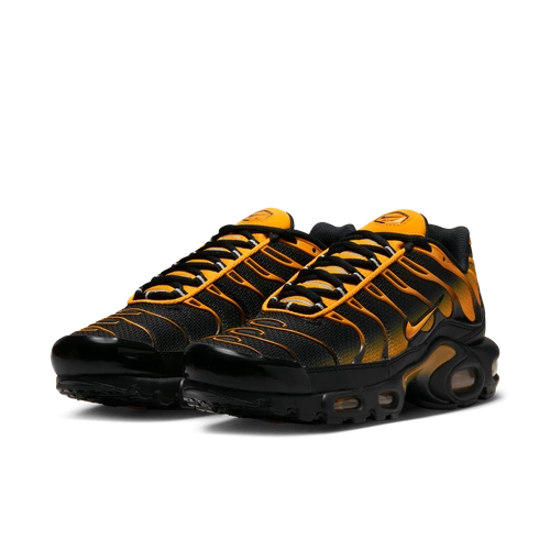 Buty męskie Nike Air Max Plus DM0032-007