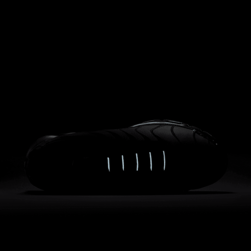 Buty męskie Nike Air Max Plus AJ2029-001