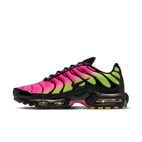 Buty męskie Nike Air Max Plus DM0032-027