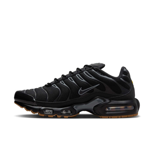 Buty męskie Nike Air Max Plus FV0385-001