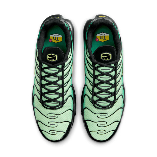 Buty męskie Nike Air Max Plus DM0032-301