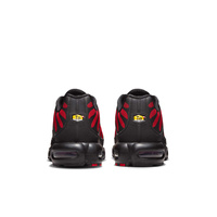 Buty męskie Nike Air Max Plus DZ4507-600