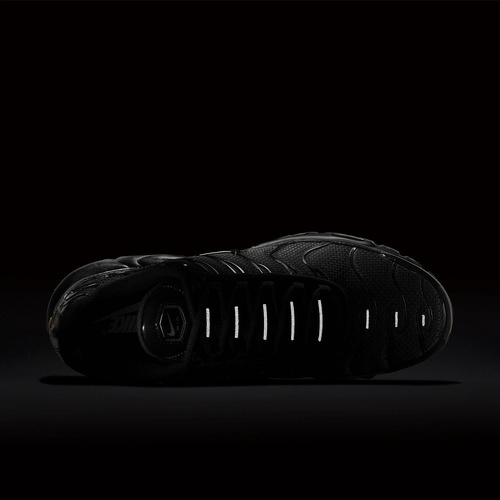 Buty męskie Nike Air Max Plus 604133-050