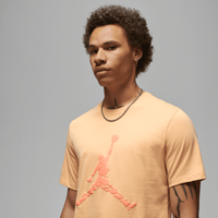 Koszulka męska Jordan Essentials DX9581-251