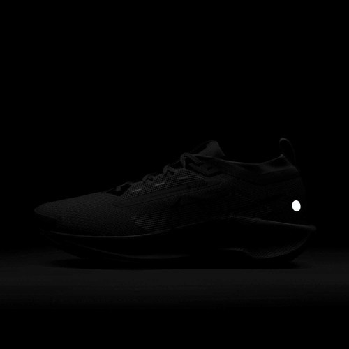 Buty męskie Nike Pegasus Trail 5 GORE-TEX FQ0908-006