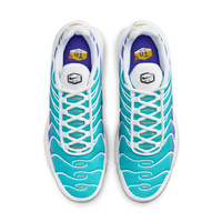 Buty męskie Nike Air Max Plus DM0032-102