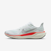 Buty męskie Nike Pegasus 41 FD2722-115