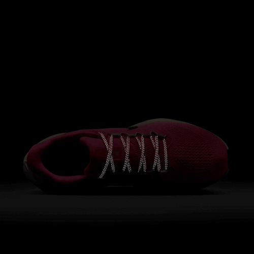 Buty damskie Nike Pegasus 41 HV5158-600