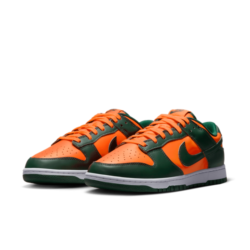 Buty męskie Nike Dunk Low Retro DD1391-300