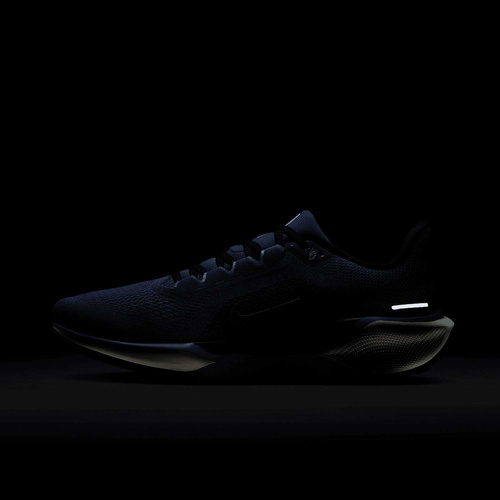 Buty męskie Nike Pegasus 41 FD2722-401