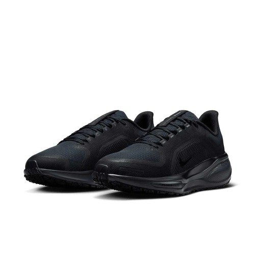 Buty damskie Nike Pegasus 41 GORE-TEX FQ1357-001