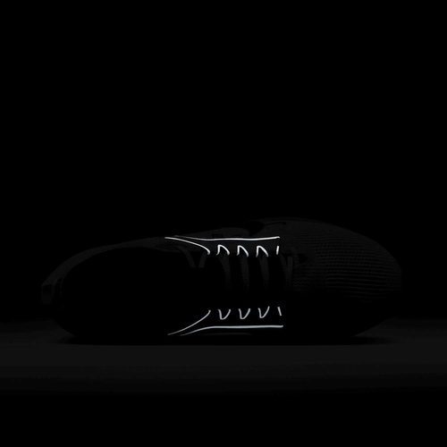 Buty męskie Nike Pegasus 40 FZ5055-101