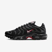 Buty męskie Nike Air Max Plus HF4293-001