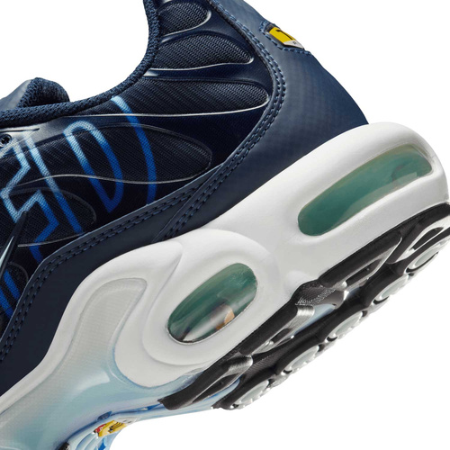Buty męskie Nike Air Max Plus IH4459-473