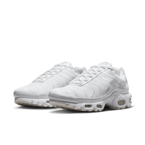 Buty męskie Nike Air Max Plus AJ2029-100