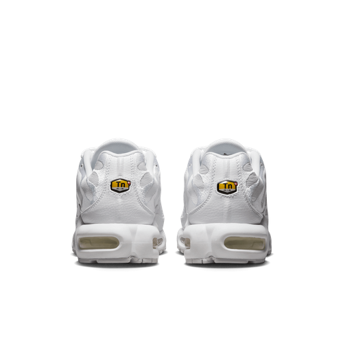 Buty męskie Nike Air Max Plus AJ2029-100